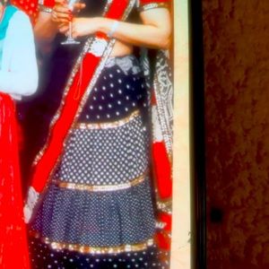 Stunning Sabyasachi lehenga saree!